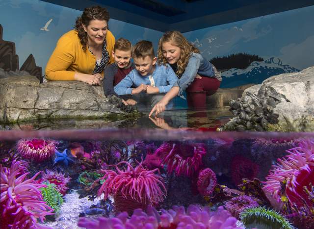 Spring Break at SEA LIFE Grapevine