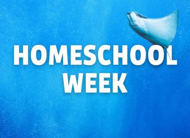Homeschool Week at SEA LIFE Grapevine