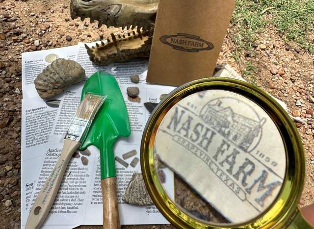 Dino Dig at Historic Nash Farm