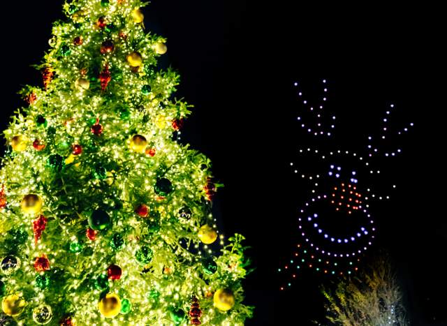 VIP Merry and Bright Drone Show Watch Party