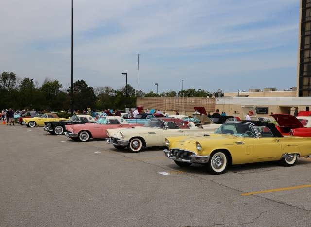 All Ford Thunderbird Classic Car Show