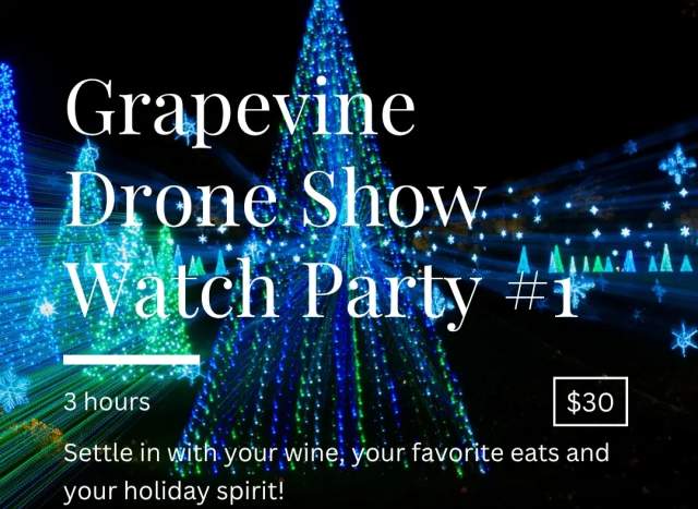 Drone Show Watch Party