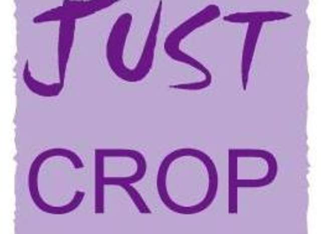 Just Crop, Shop & Create