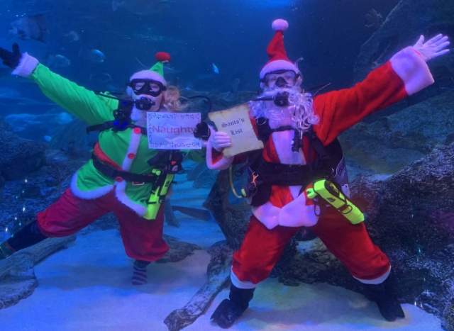 Scuba Santa at SEA LIFE Grapevine