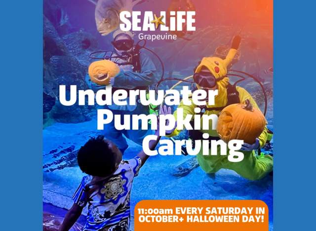 Underwater Pumpkin Carving at SEA LIFE Aquarium