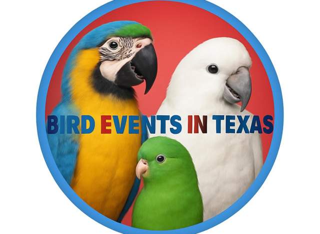 Bird Event in Texas