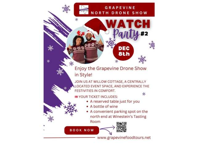 Drone Show Watch Party