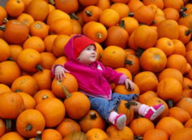Hall’s Pumpkin Farm and Corn Maze