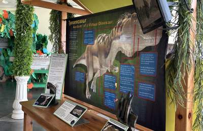 Part of the Be The Dinosaur exhibit in Grapevine, Texas