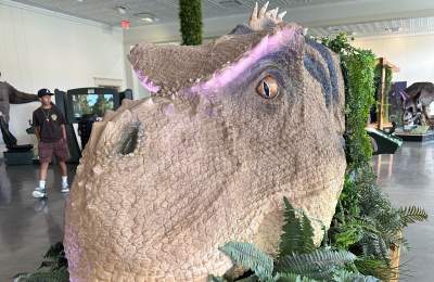 Dinosaur head in Be The Dinosaur exhibit in Grapevine, Texas