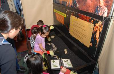 Pictures of Dinosaur Quest Exhibit's dino dig