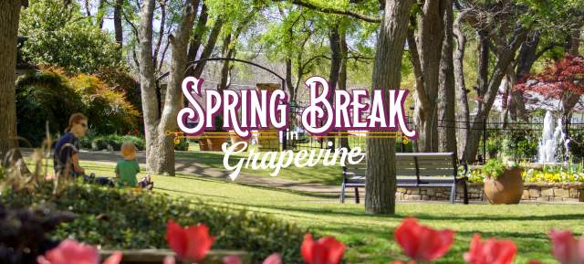 Spring Break in Grapevine graphic