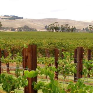 Barossa Valley Australia Wineries