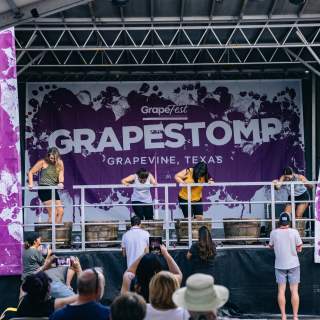 new grapefest grapestomp