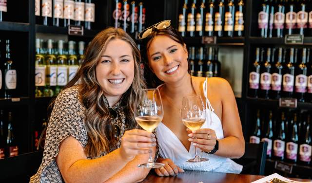 Women toasting glasses of wine in Grapevine, Texas