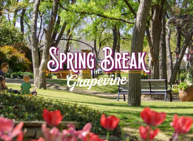 Spring Break in Grapevine graphic