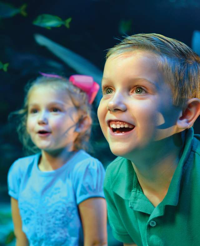 Kids enjoying SEA LIFE Grapevine Aquarium at Grapevine Mills in Grapevine, Texas