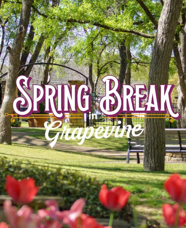 Spring Break in Grapevine graphic