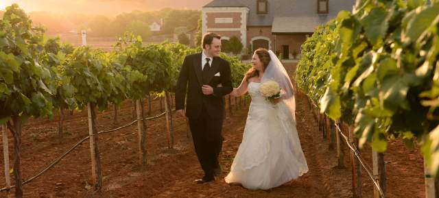 Weddings