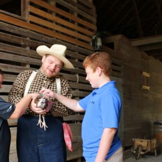 Copy of Nash Farm - Animals