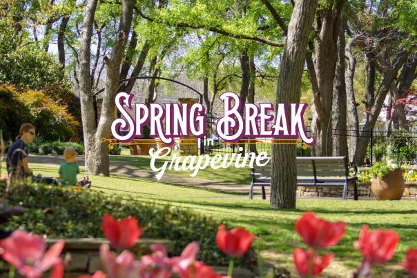 Spring Break in Grapevine graphic