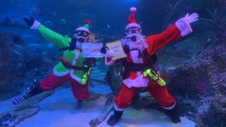 Scuba Santa at SEA LIFE Grapevine Aquarium