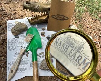 Dino Dig supplies at Historic Nash Farm in Grapevine, Texas