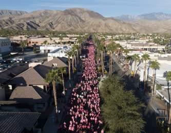 20th Anniversary Paint El Paseo Pink