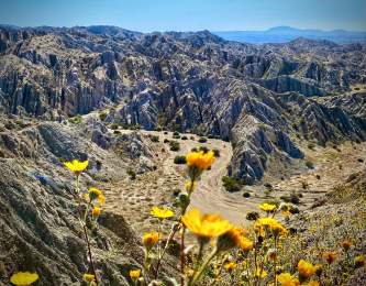 Red Jeep Tours by Desert Adventures