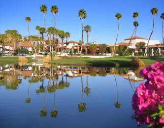 Spring Somewhere New