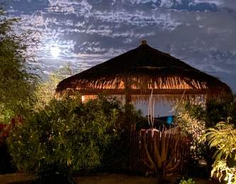 Midnight at the Oasis