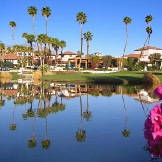 Spring Somewhere New