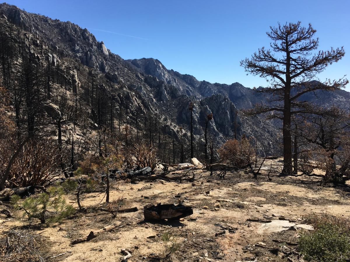 South Ridge | Idyllwild, CA