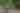 GPS_TwoBunchPalms_21