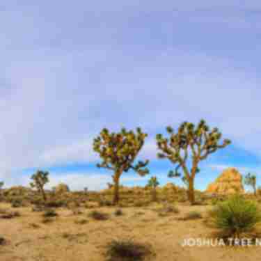 CAD_CENTRAL_headerJoshuaTree
