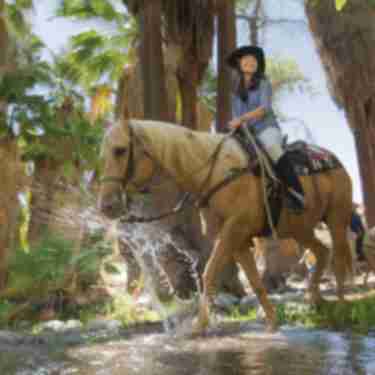 A group of people horseback riding in Indian Canyons