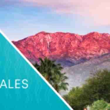 June 2019 Travel Industry Sales
