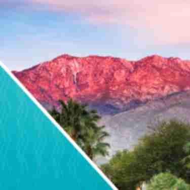 Header image for STR report