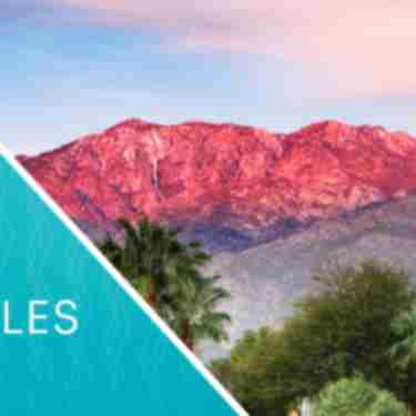 Travel Industry Sales header image