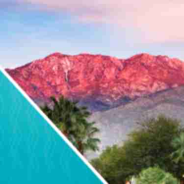 Social Media November 2019 Board Report header image
