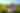 GPS24_Aziz_Farms_046