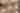 dineGPS header