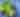 GreenSalad_iStock.jpg