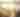 TopDown_Dog_iStock