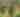 Couple walking on hiking path with palm trees