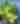 GreenSalad_iStock.jpg