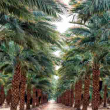 1920x1080 istock date grove