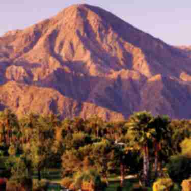 Mountains and palm trees for National Travel and Tourism Week