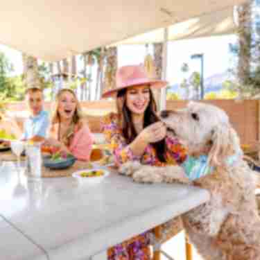 Brunch at Boozehounds in Palm Springs