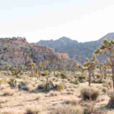 Joshua Tree National Park
